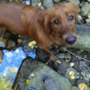 Meet your Posher, Karen